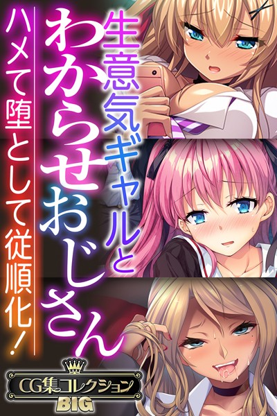 生意気ギャルとわからせおじさん 〜ハメて堕として従順化！〜【CG集コレクションBIG】