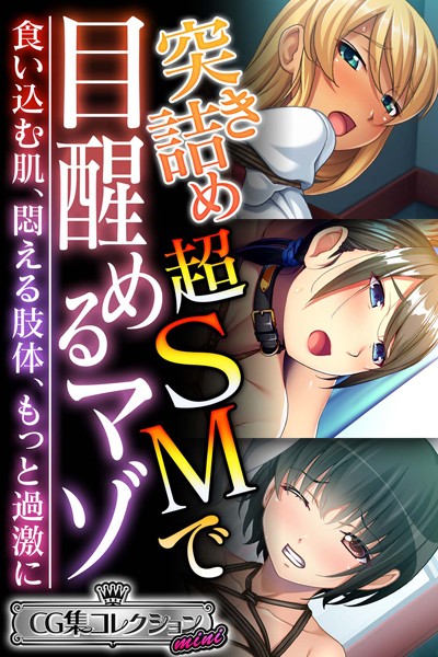 突き詰め超SMで目醒めるマゾ〜食い込む肌、悶える肢体、もっと過激に〜【CG集コレクション ミニ】